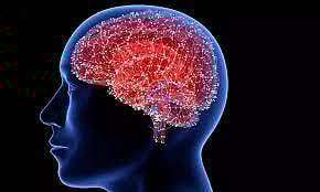 Study decodes how human brain plans before speaking