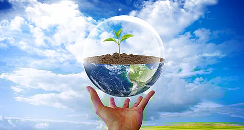 Environment Day 2024: Know The Date, History And Significance