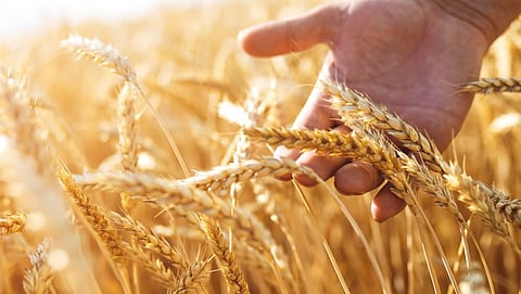 Arunachal Pradesh: ATARI director advices SHGs to start farmer-producer companies