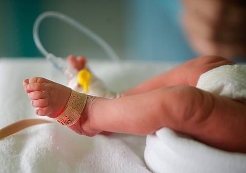 Researchers find how skin biomarkers in infants can predict early development of food allergies