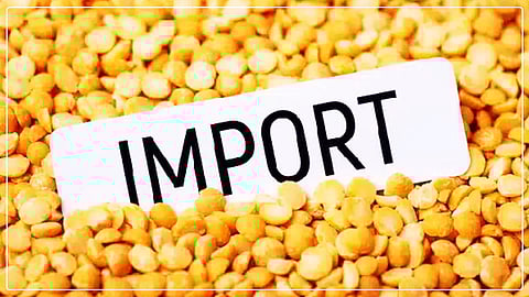 India extends duty-free import of yellow peas: Directorate General of Foreign Trade