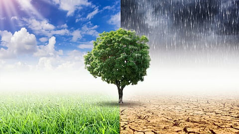 Constitutional framework for climate resilience in Northeast