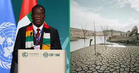 Zimbabwean President Emmerson Mnangagwa declares national disaster due to drought