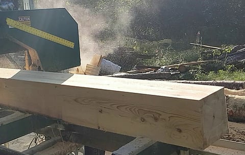 Illegal saw mills seized in Rohdoi Ali area on Assam-Nagaland border