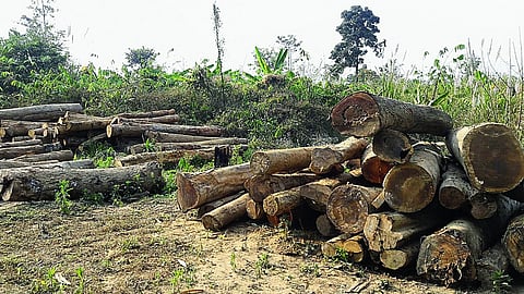 "Are departments at all serious about protecting forests?" inquired forest officials