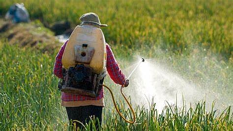 Pesticides in food