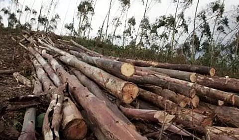 DC (Kamrup Metropolitan) halts earth cutting in Guwahati city