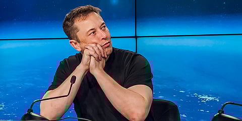 Something ‘super weird’ is going on: Elon Musk on Tesla’s Berlin plant