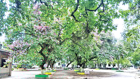 Tezpur