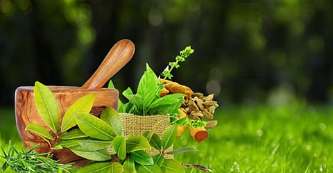 A scientific exploration of herbal supplements for well-being in India