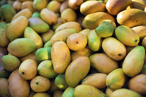 Assam Food Safety Department cracks down on carbide-laden fruits