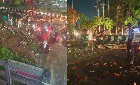 A giant tree collapses in Guwahati’s VIP Road injuring a biker