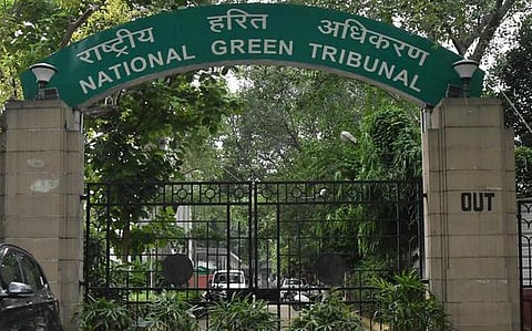 Assam: Centre and NGT seek explanation on commando camps within forest land