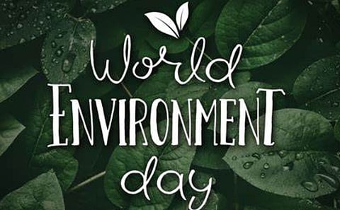 Assam: World Environment Day 2024 celebrated at AIIMS Guwahati