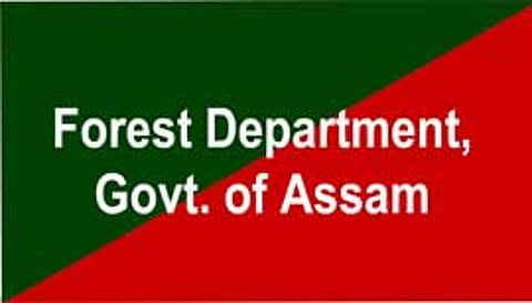Assam: Trader ‘harassed’ by forest official at Mayong