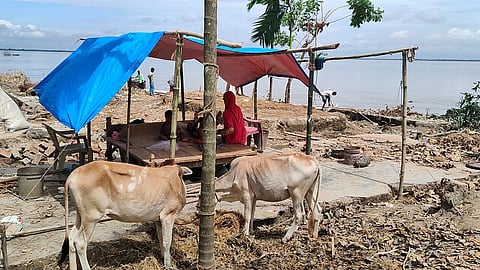 Erosion in Brahmaputra River Displaces Hundreds in Dhubri District's Fakirganj and Naskara Villages
