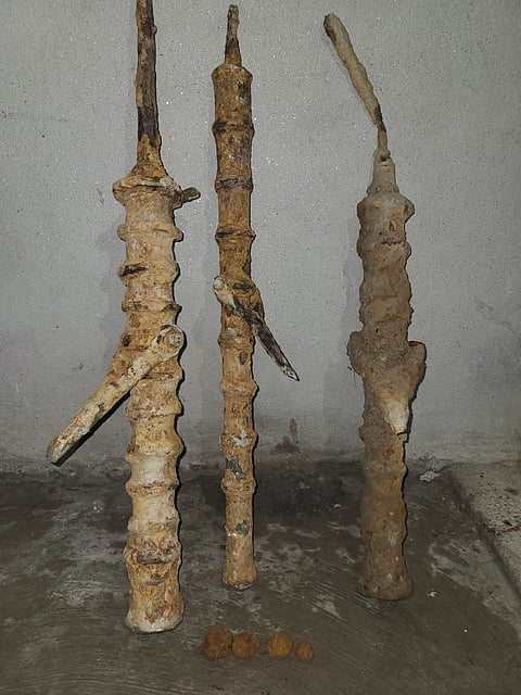 Three Medieval Swivel Cannons Unearthed in Dhubri, Sent to District Museum for Preservation