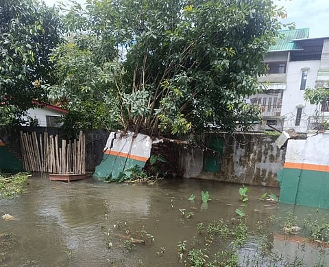 Incessant Rains Uproot Tree, Cause Severe Waterlogging in Dibrugarh; CM Visits Affected Areas