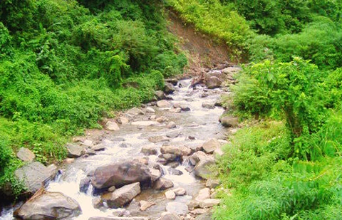 Assam: NGT directs panel to submit report on illegal mining at Jatinga River Stone Quarry
