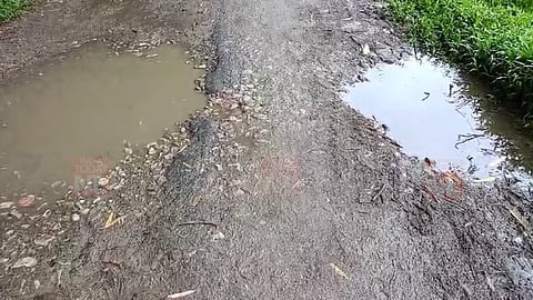 Neglected Dhanshrighat Chariali-Orang National Park Road Becomes Hazardous for Commuters