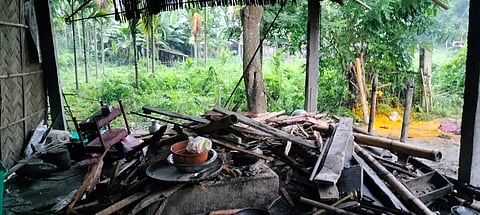 Assam: Wild Elephants Trigger Panic in Jamugurihat