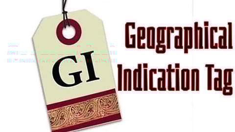 Assam Heritage Shines: 8 Unique Products Earn Prestigious GI Tag