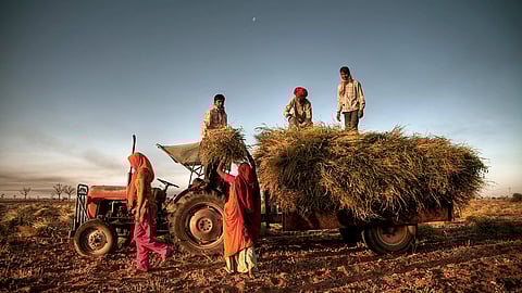 Empowering the Department of Agriculture: Need for Specialised Leadership