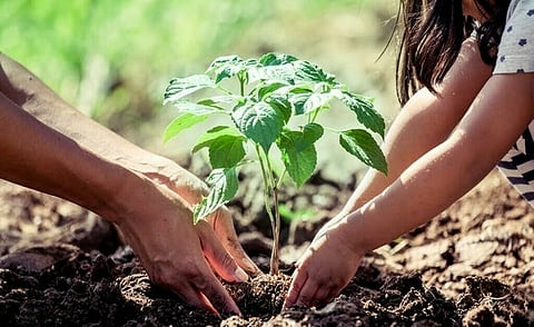 134 Infantry Battalion Ecological Task Force Organizes Mass Plantation Drive for Platinum Jubilee Celebrations