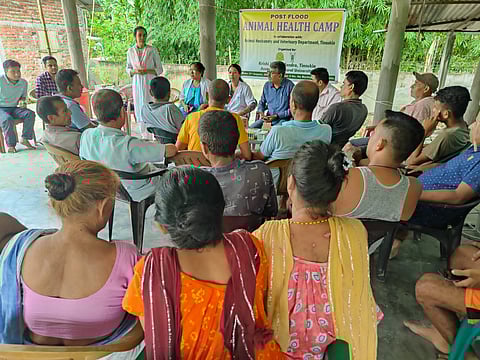 Post-Flood Animal Health Camp Held in Tinsukia: 100 Animals Vaccinated, 207 Cattle and 923 Poultry Treated