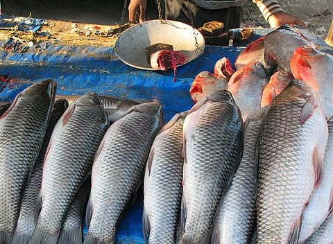 Tinsukia Residents Demand Removal of Roadside Fish Sellers Due to Health Hazards and Unhygienic Conditions