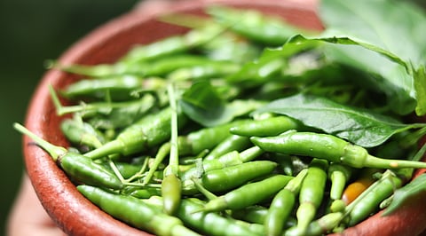 Health Benefits of Green Chilli, Check Here