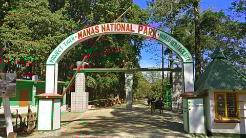 Assam: Manas National Park Reopens its Gates to Tourists Starting September 27