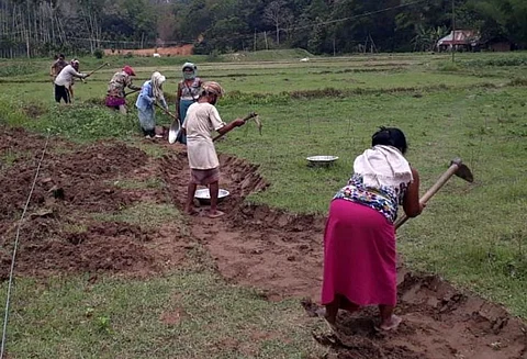 MGNREGA