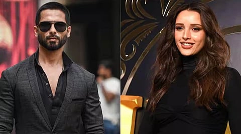 Shahid Kapoor and Triptii Dimri