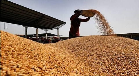 foodgrain