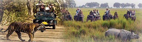 Tourism
