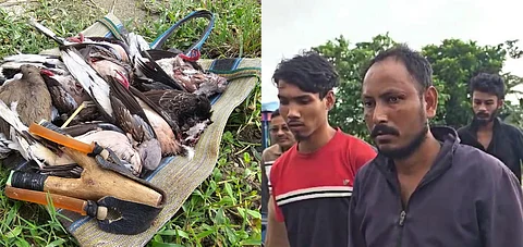 Assam: Two Youths Arrested for Alleged Bird Hunting in Bajali District