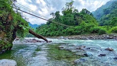 Arunachal's Namdapha & Kamlange: New Eco-Sensitive Zones to Protect Nature