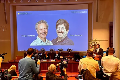 United States scientists