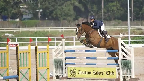 International equestrian