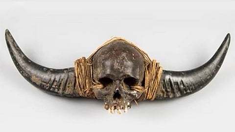 Naga Human Skull