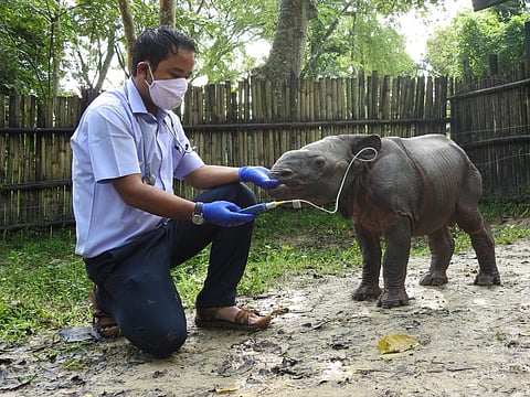 Dr Panjit Basumatary