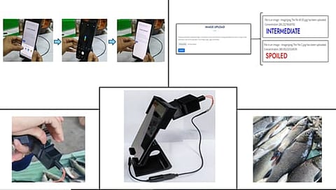 fish quality monitoring device