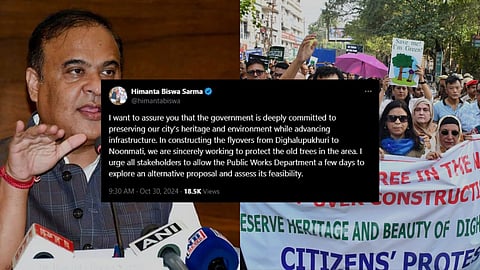 Dighalipukhuri tree cutting plan