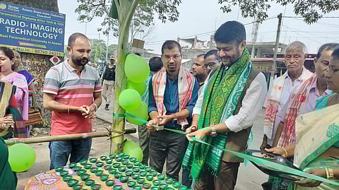 Eco-Friendly "Green Diwali"