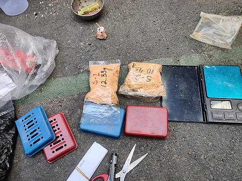 Major Drug Bust
