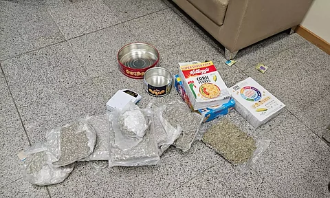 Hydroponic weed,