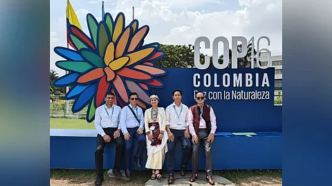 Global recognition