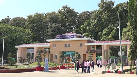 Darranga