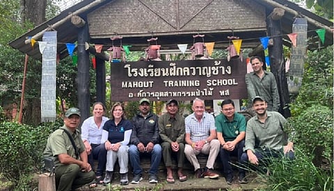 Kaziranga National Park